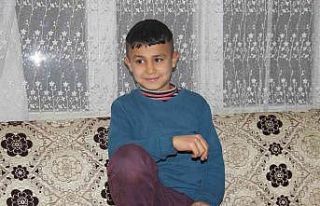 Köpeklerin korkusundan direğe çıkan çocuk: "Bana...