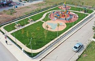 Körfez’de yeşil alanlar çoğalıyor
