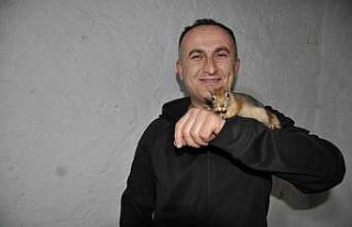 Köy öğretmeni evinde beslediği sincaba çocuğu...