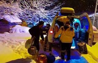 Köyde mahsur kalan hamile kadının imdadına paletli...