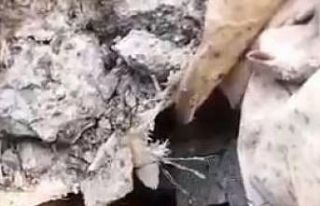 Köyün içme suyu şebeke hattından yılan derisi...