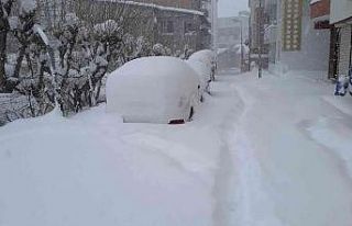 Kulp’ta kar kalınlığı 70 santimetreyi buldu