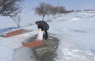 Kulu’da yaban hayvanlarına yem bırakıldı