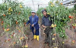 Kumlucalı üreticiler sel sonrası seralarda dezenfekte...
