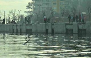 Kurbağalıdere’de tonlarca ağırlıktaki beton...
