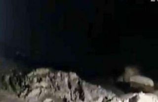 Kurtla köpeklerin kavgasını maç anlatır gibi...