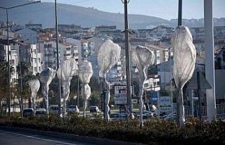 Kuşadası’nda ağaçlara özel koruma