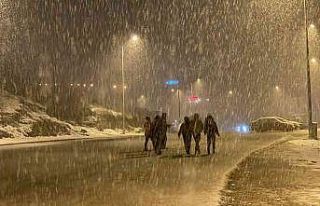 Lapa lapa karı gören sokağa çıktı