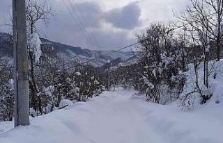 Mahallede kar 1.5 metreye ulaşınca muhtar vatandaşlara...