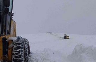 Mahsur kalan 20 kişi kurtarıldı