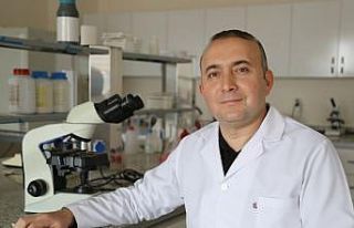 Malaklı köpekleri bilimsel bir disiplin içinde...