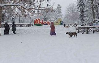 Malatya’da kar yağışı kartpostallık görüntüler...