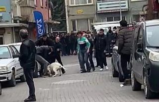 Malatya’daki pitbullu saldırı anı kamerada