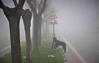 Manisa yeni yıla sis altında uyandı