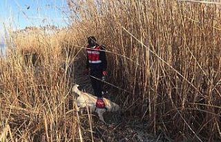 Manyas gölünde kaybolan balıkçıyı arama çalışmaları...