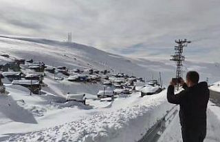 Manzarayı görenler durup cep telefonuna sarılıyor