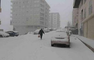 Mardin beyaza büründü