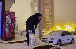 Mardin Büyükşehir Belediyesinden sokak hayvanlarına...