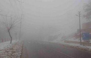 Mardin, yoğun sise teslim