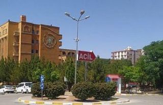 Mardin’de yolun karşısına geçmek isteyen kadın...