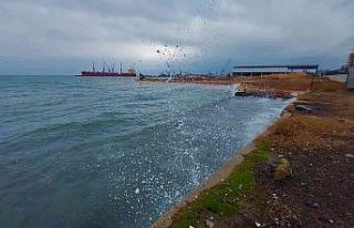 Marmara Denizi ulaşımına poyraz engeli: Çok sayıda...