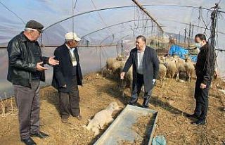 Menteşe Ziraat Odası’ndan afet mağdurlarına...
