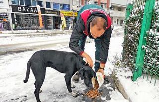 Menteşe’de can dostlar unutulmadı