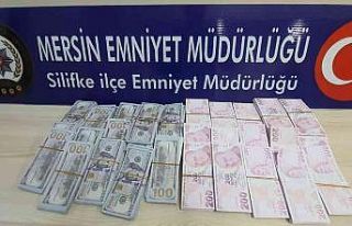 Mersin’de 3.5 milyon liralık sahte dolar ve Türk...