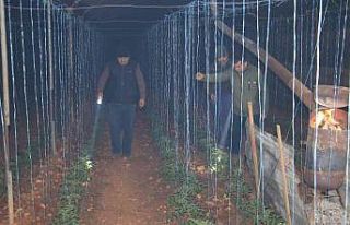 Mersin’de bahçelerde lastikler, seralarda sobalar...