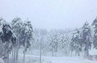 Meteoroloji sarı kodla uyardı, yoğun kar yağışı...