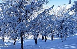 Meteorolojiden Batman ve çevre ileri için kar uyarısı...