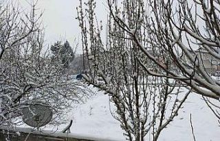 Meteorolojiden Denizlili çiftçilere zirai don uyarısı