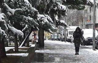 Meteorolojiden Diyarbakır için kar yağışı ve...