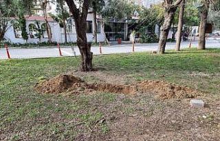 Mezar kazılıyor ihbarı ile olay yerine giden ekipler,...