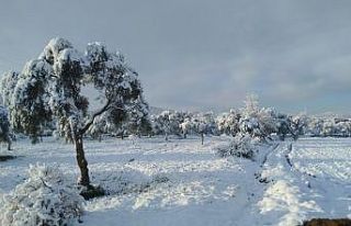 Milas’ın yüksek kesimleri beyaza büründü
