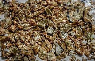 Milas’ta 835 gram değerli taş olarak kabul edilen...