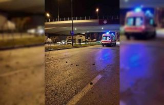 Minibüs demir bariyer ve ağaçları biçti: 2 ölü,...