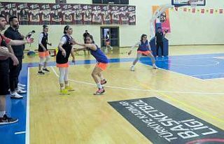 MSK Kadın Basketbol Takımı, Fenerbahçe Gelişim...