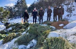 Muğla’da yaban hayvanları unutulmadı