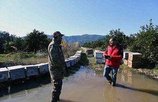 Muğla’daki yağışlar sonrası hasar tespit çalışmaları...