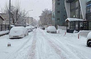 Muş’ta 261 köy yolu ulaşıma kapandı