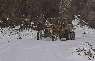 Muş’ta 55 köy yolu kar nedeniyle ulaşıma kapandı