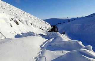 Muş’ta 86 köy yolu ulaşıma açıldı