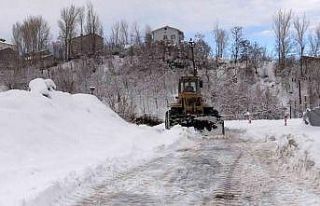 Muş’ta kar yağışı nedeniyle 109 köy yolu ulaşıma...