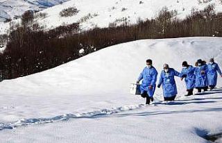 Muş’ta sağlık çalışanları aşı için karlı...