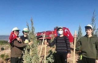 MY Kolej öğrencileri fidan dikim etkinliğine katıldı