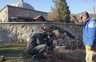 Nallıhan’da hayırseverlerin desteği ile meyve...