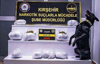 Narkotik Köpeği ’Çine’ 8 kilo uyuşturucu yakaladı