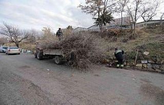 Nevşehir Belediyesi sanayi bölgesindeki yeşil alanlarda...