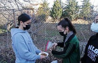 Öğrenciler sokak hayvanlarını unutmadı